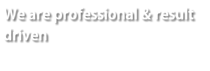We are professional & result driven 